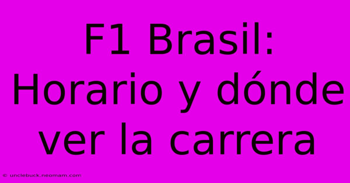 F1 Brasil: Horario Y Dónde Ver La Carrera