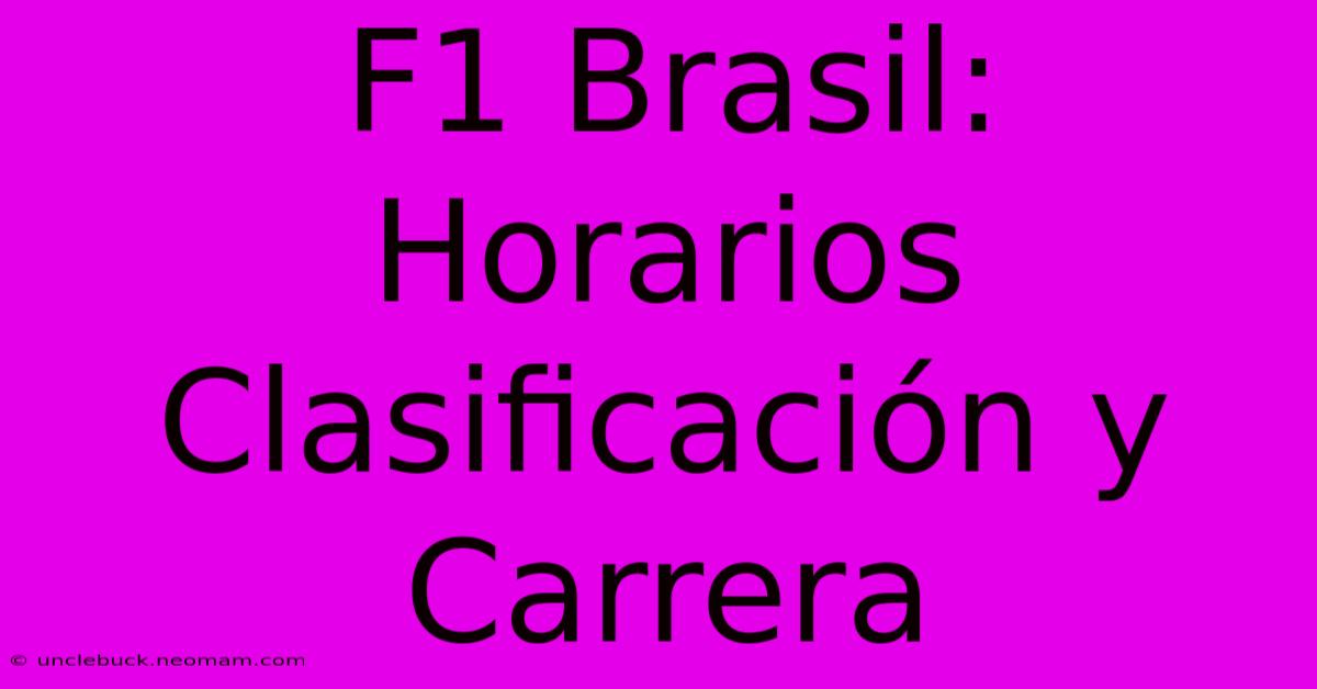 F1 Brasil: Horarios Clasificación Y Carrera