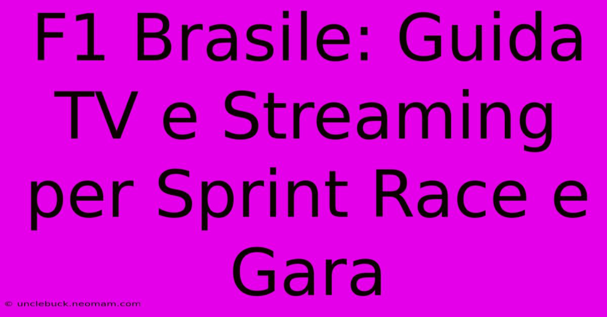 F1 Brasile: Guida TV E Streaming Per Sprint Race E Gara 