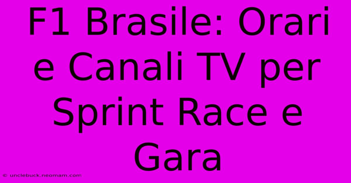 F1 Brasile: Orari E Canali TV Per Sprint Race E Gara