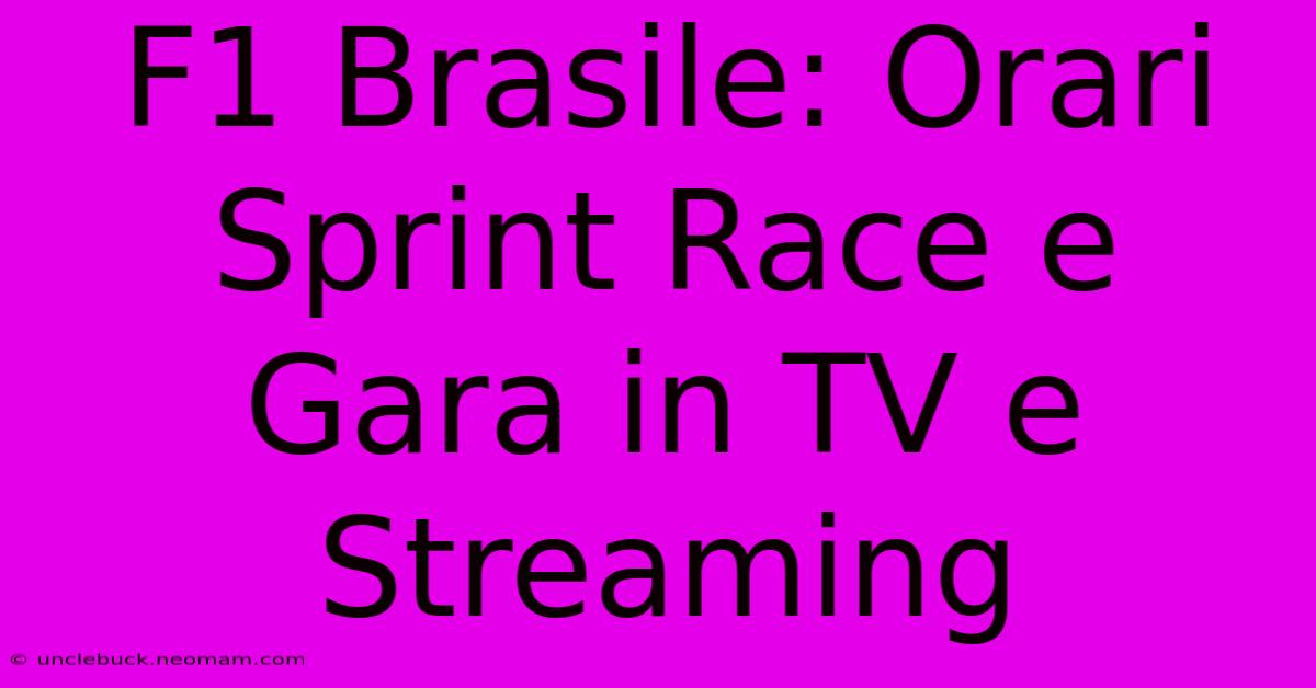 F1 Brasile: Orari Sprint Race E Gara In TV E Streaming