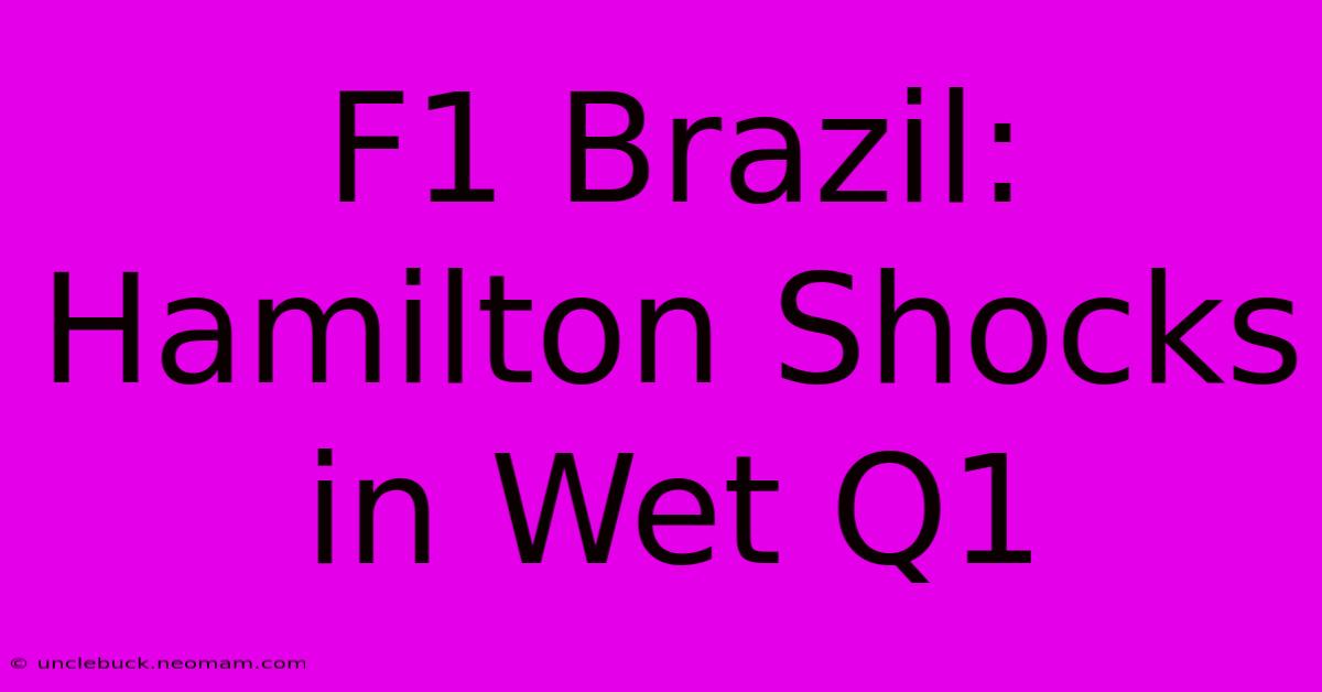 F1 Brazil: Hamilton Shocks In Wet Q1