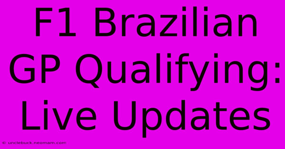 F1 Brazilian GP Qualifying: Live Updates 