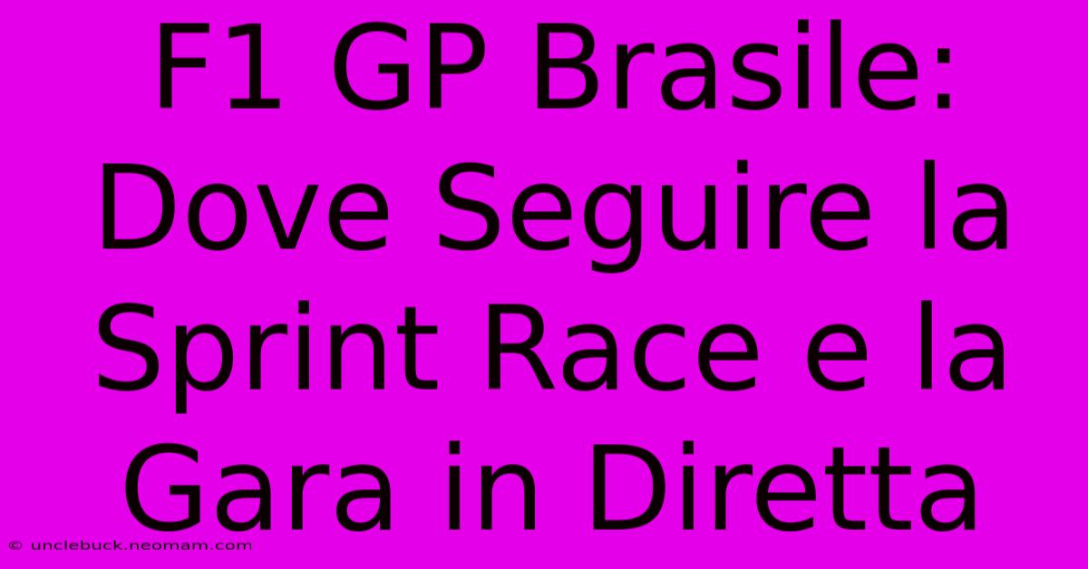 F1 GP Brasile: Dove Seguire La Sprint Race E La Gara In Diretta