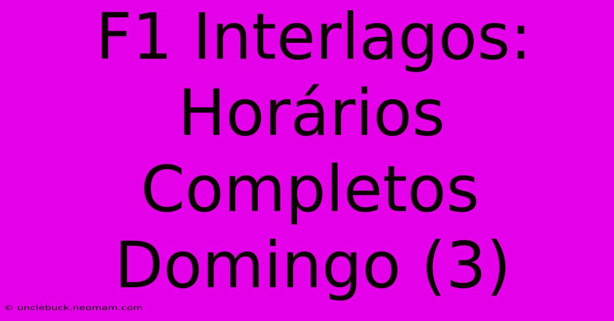 F1 Interlagos: Horários Completos Domingo (3)