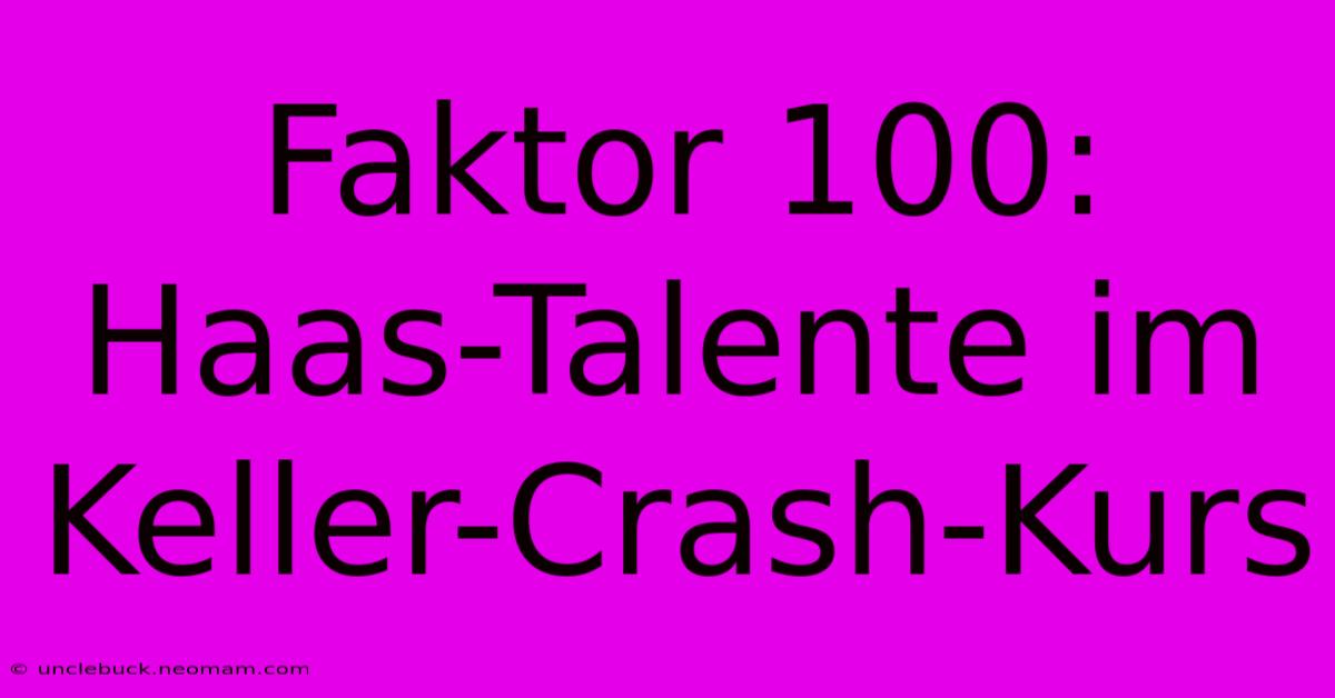 Faktor 100: Haas-Talente Im Keller-Crash-Kurs 