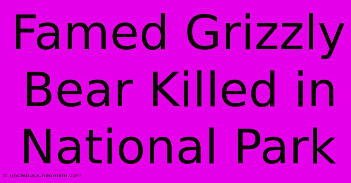 Famed Grizzly Bear Killed In National Park