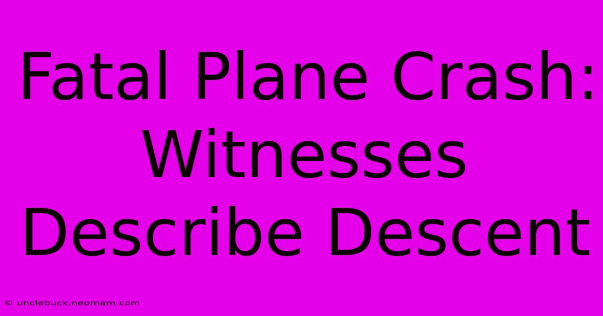 Fatal Plane Crash: Witnesses Describe Descent