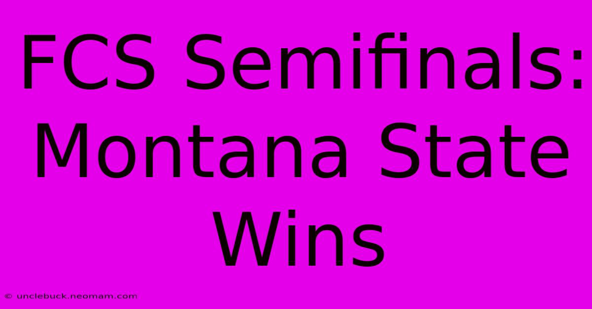 FCS Semifinals: Montana State Wins