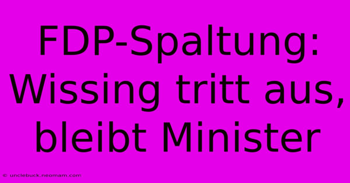 FDP-Spaltung: Wissing Tritt Aus, Bleibt Minister