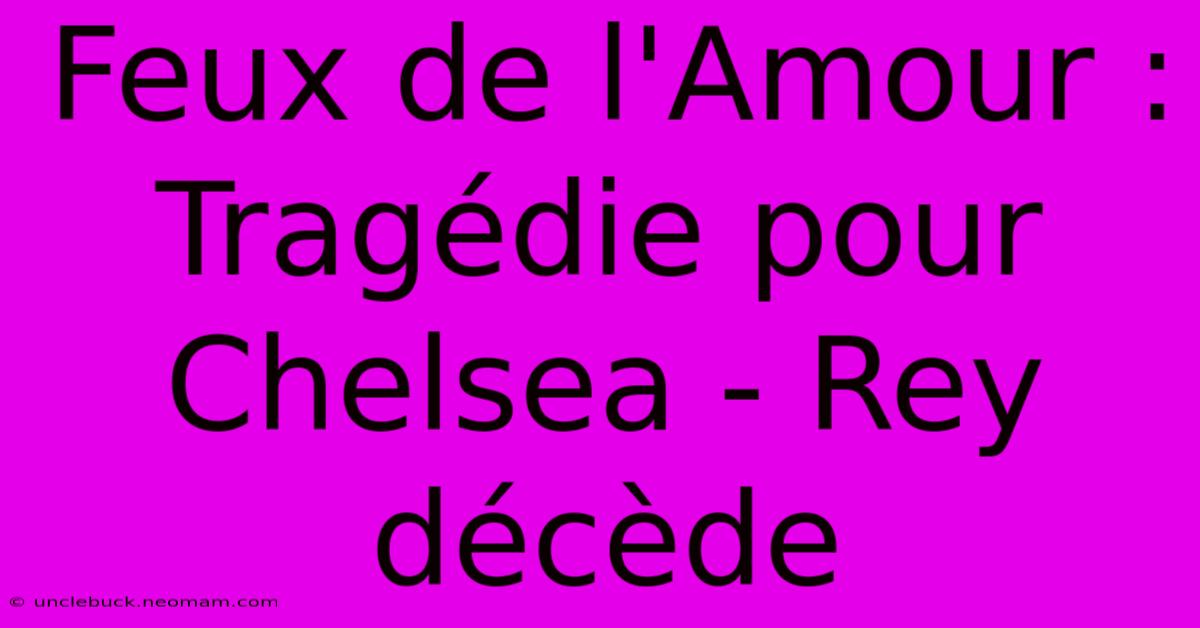 Feux De L'Amour : Tragédie Pour Chelsea - Rey Décède 