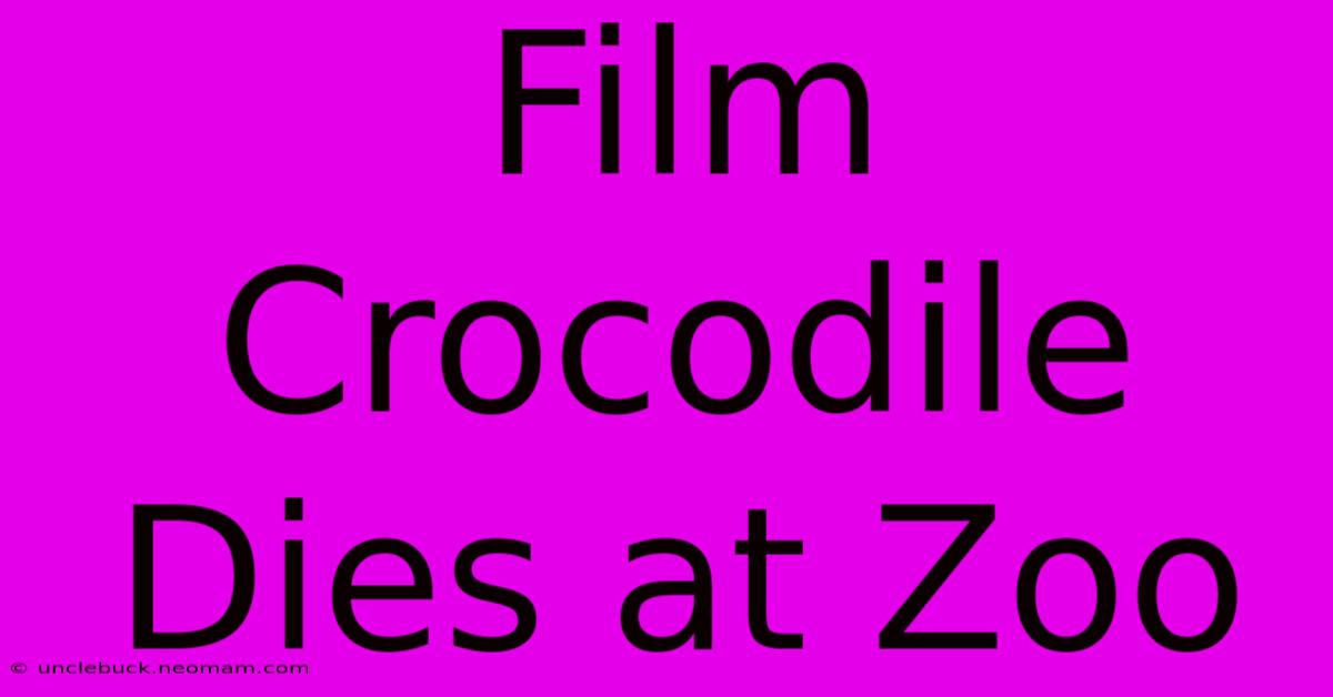 Film Crocodile Dies At Zoo