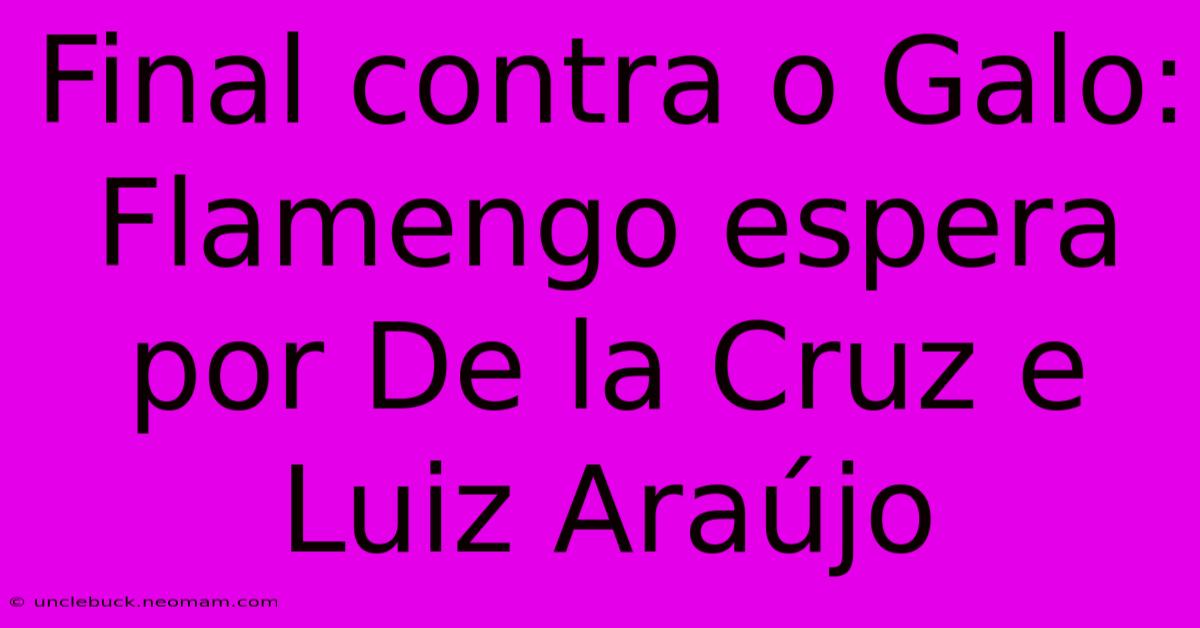 Final Contra O Galo: Flamengo Espera Por De La Cruz E Luiz Araújo 