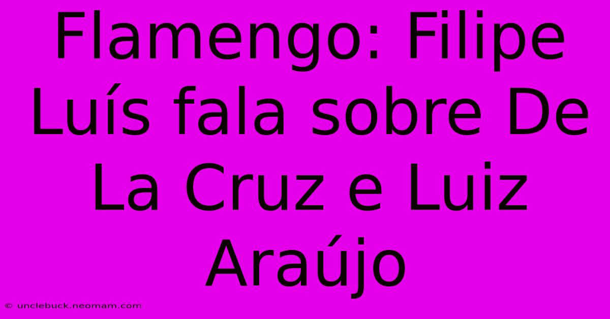 Flamengo: Filipe Luís Fala Sobre De La Cruz E Luiz Araújo