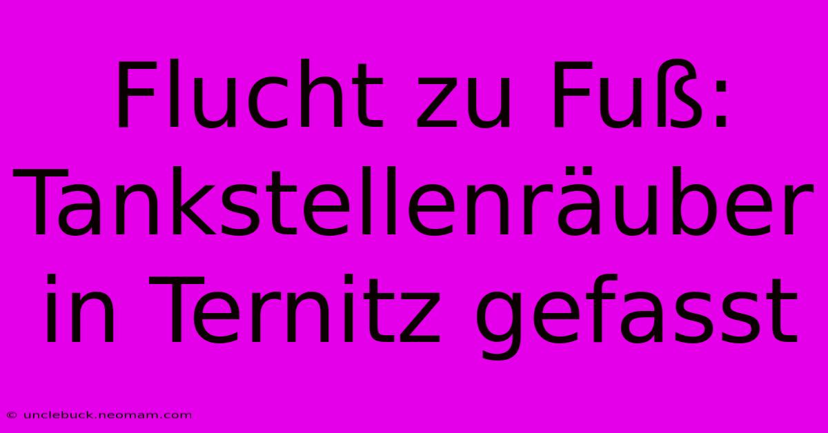 Flucht Zu Fuß: Tankstellenräuber In Ternitz Gefasst