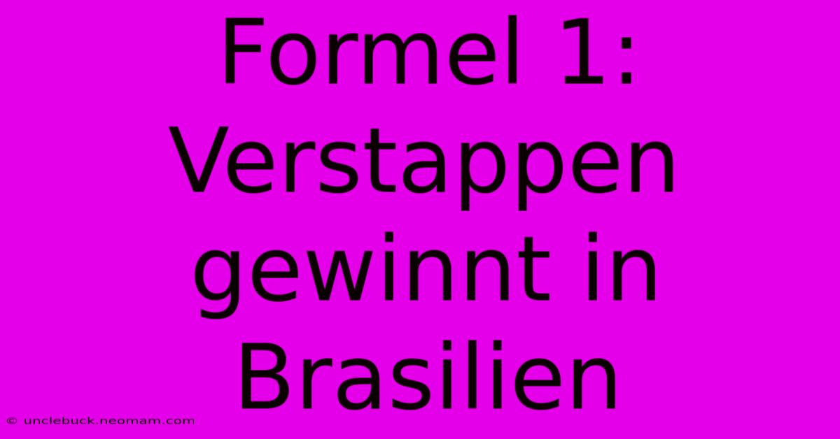 Formel 1: Verstappen Gewinnt In Brasilien