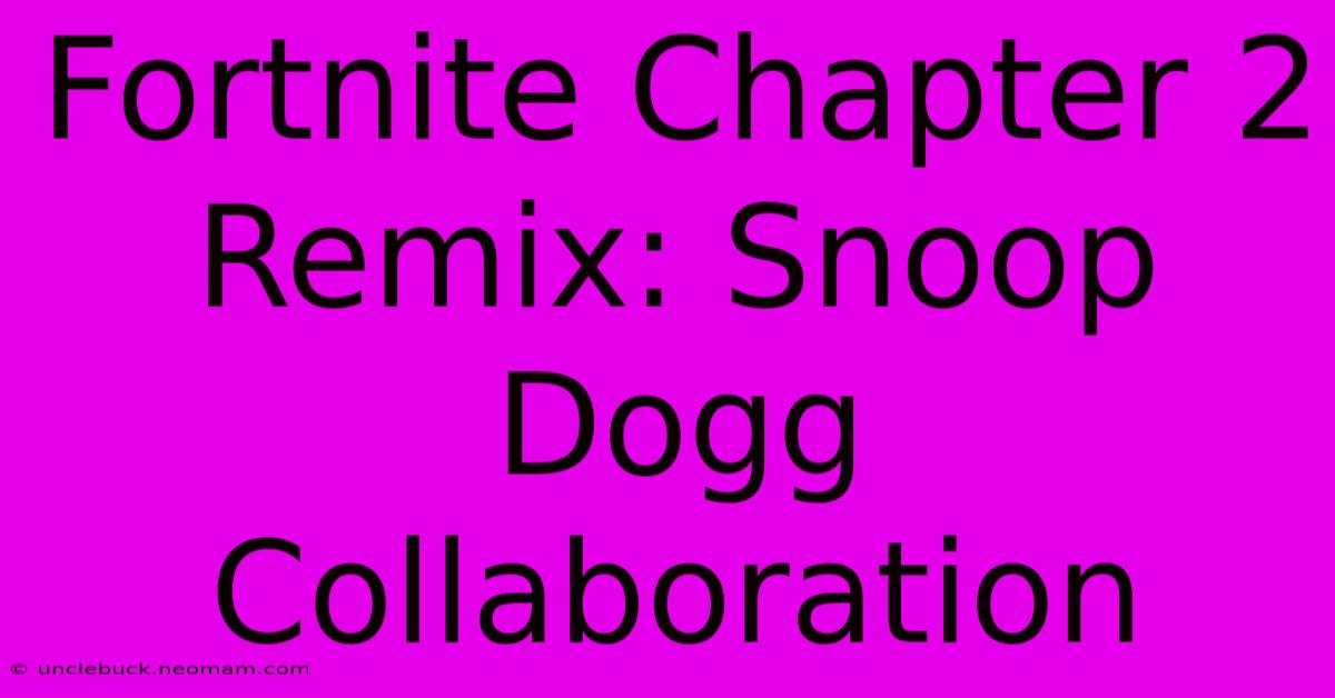 Fortnite Chapter 2 Remix: Snoop Dogg Collaboration