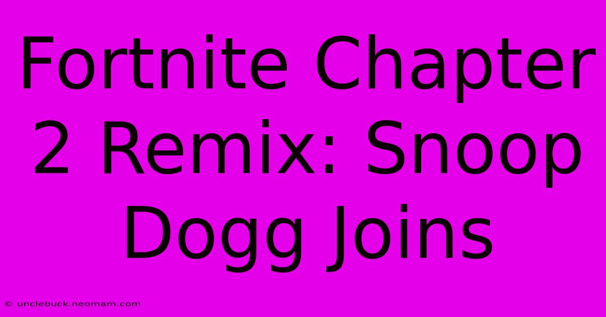 Fortnite Chapter 2 Remix: Snoop Dogg Joins