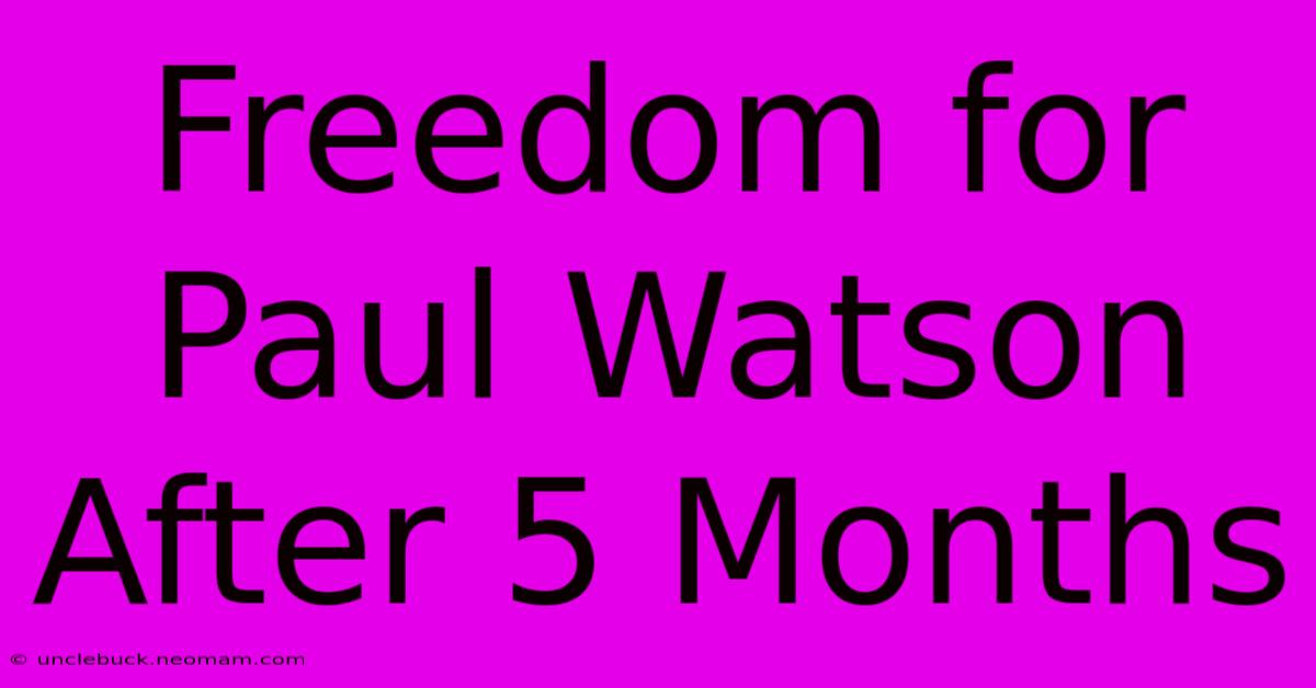 Freedom For Paul Watson After 5 Months