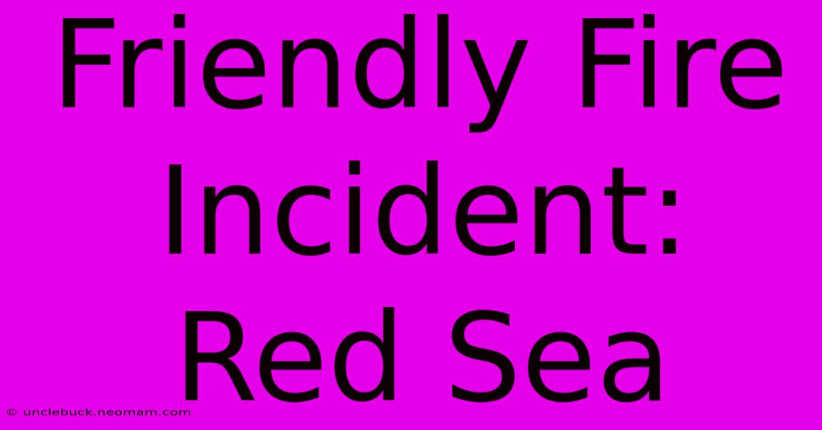 Friendly Fire Incident: Red Sea