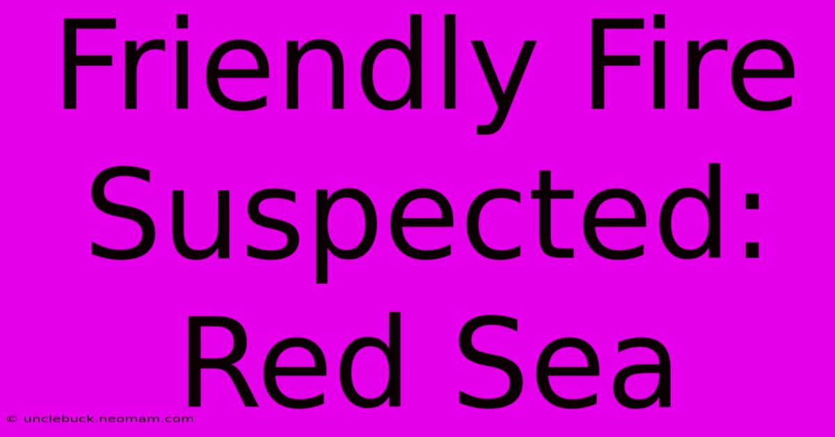 Friendly Fire Suspected: Red Sea