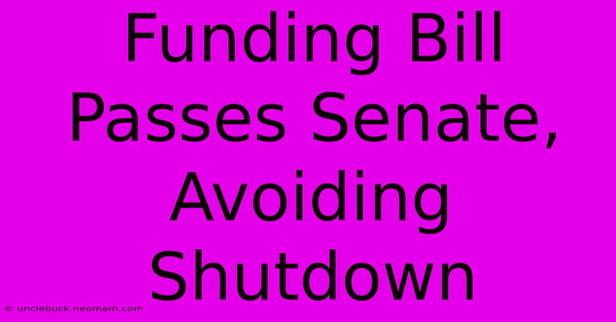 Funding Bill Passes Senate, Avoiding Shutdown