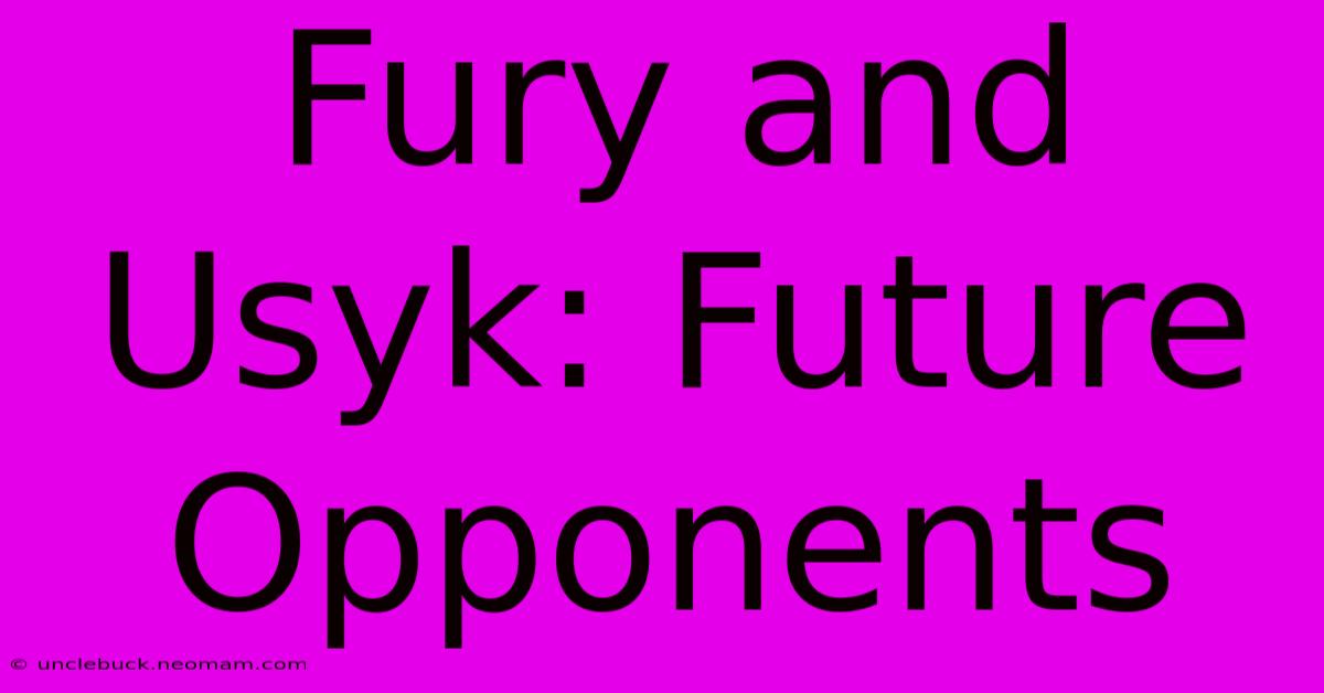 Fury And Usyk: Future Opponents