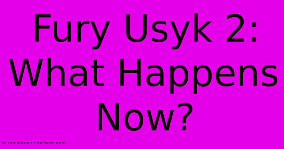 Fury Usyk 2:  What Happens Now?