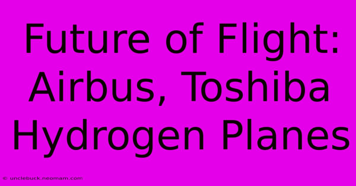 Future Of Flight: Airbus, Toshiba Hydrogen Planes