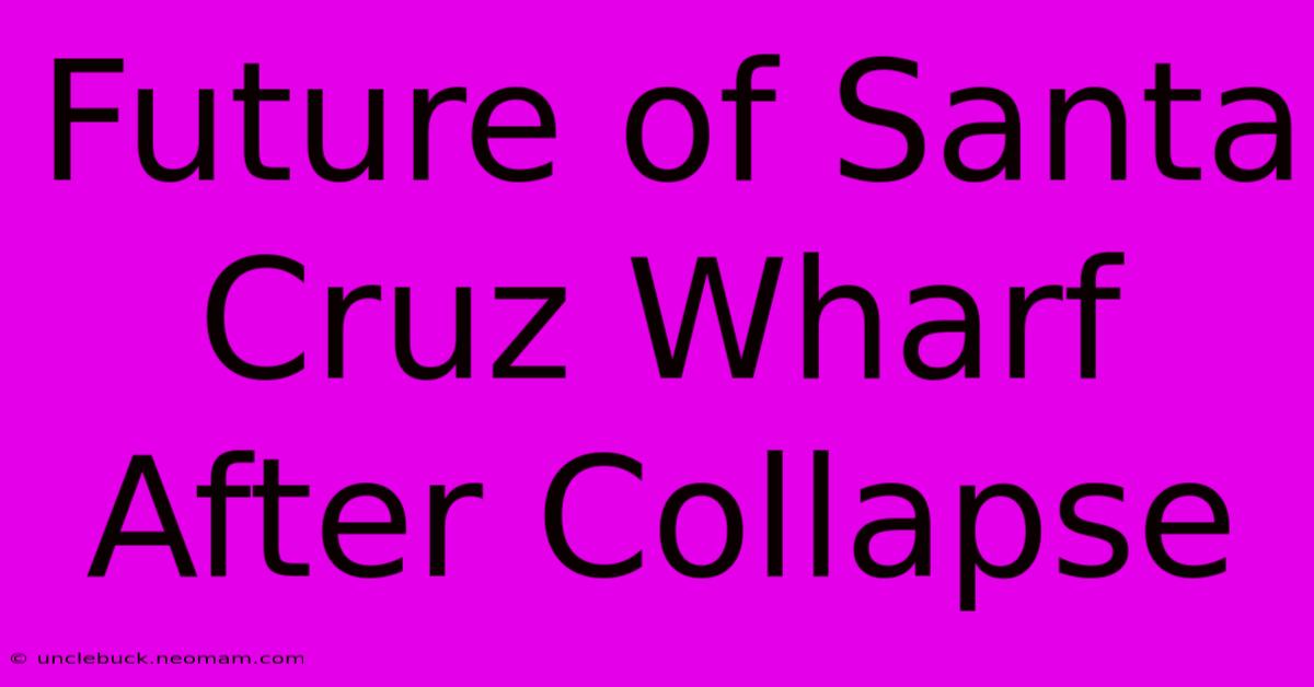 Future Of Santa Cruz Wharf After Collapse