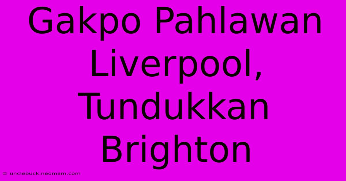 Gakpo Pahlawan Liverpool, Tundukkan Brighton