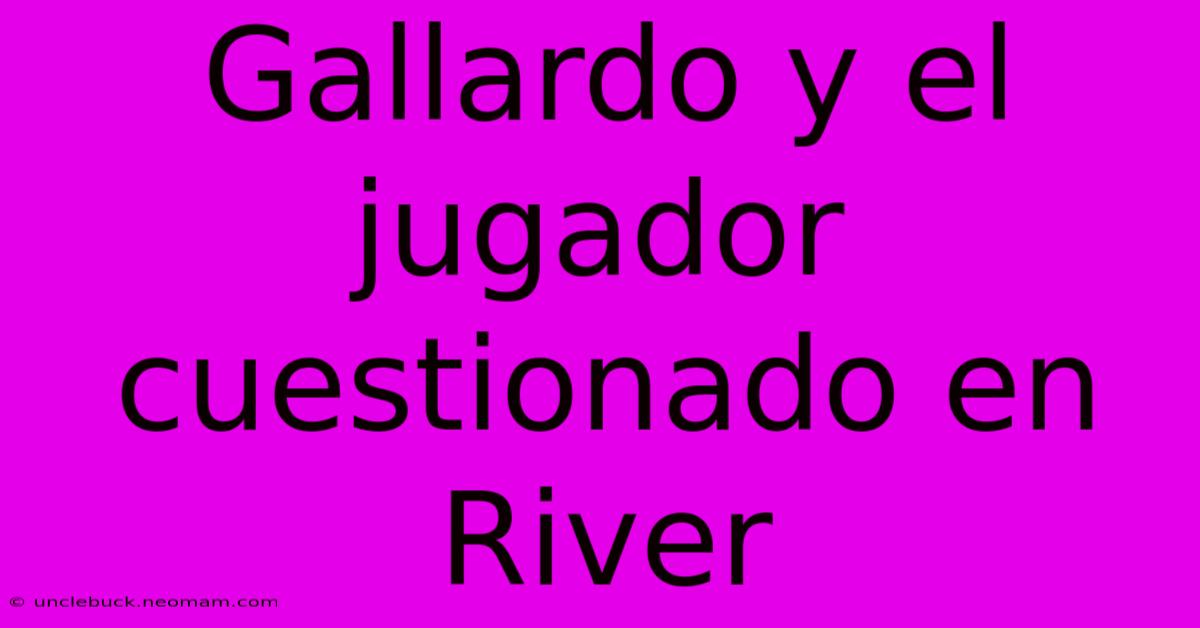 Gallardo Y El Jugador Cuestionado En River