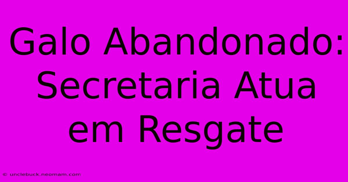 Galo Abandonado: Secretaria Atua Em Resgate