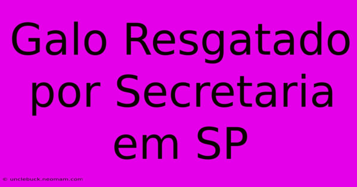 Galo Resgatado Por Secretaria Em SP