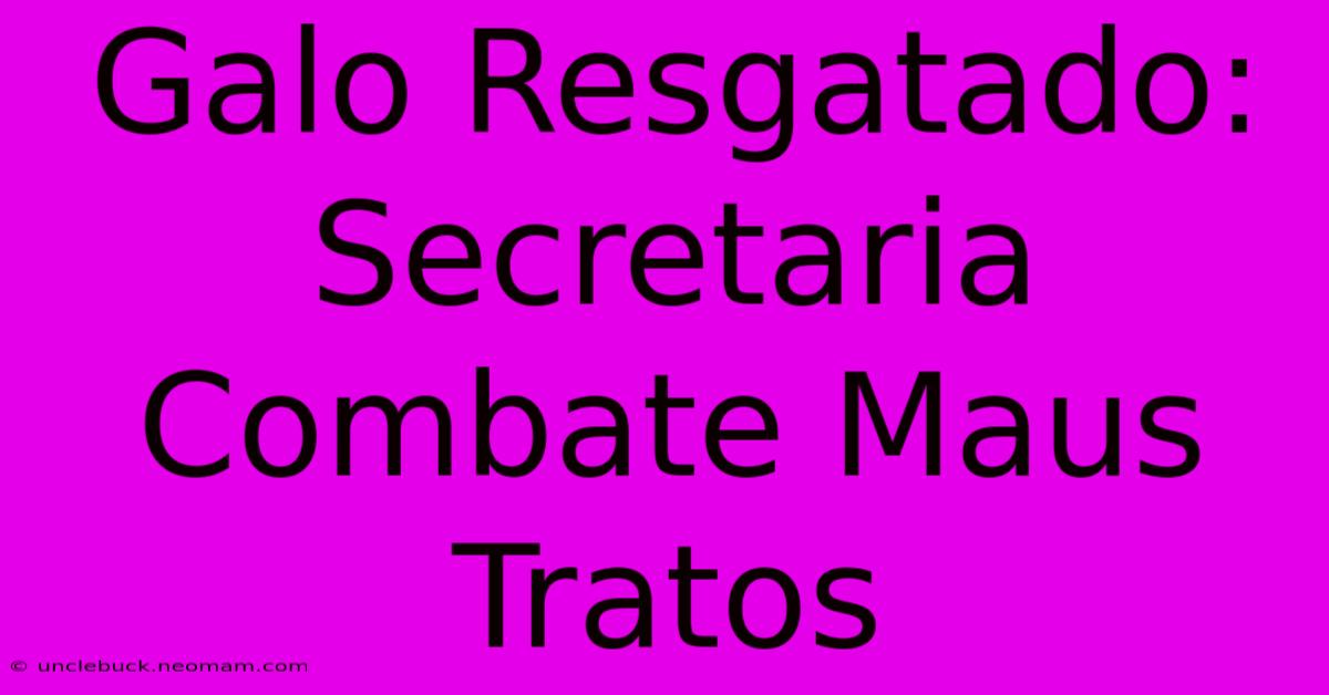 Galo Resgatado: Secretaria Combate Maus Tratos 