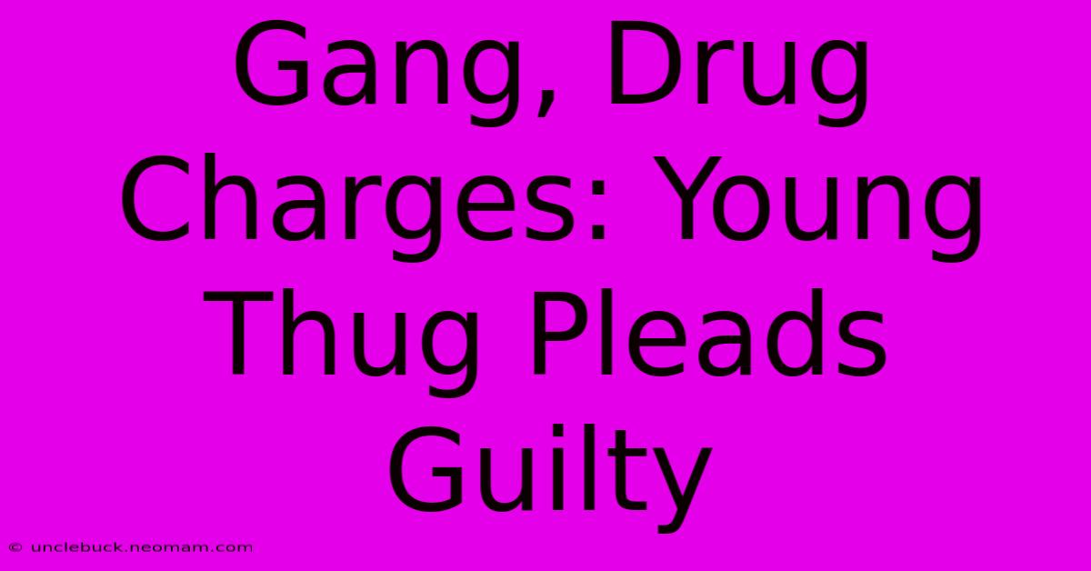 Gang, Drug Charges: Young Thug Pleads Guilty