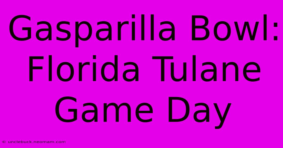 Gasparilla Bowl: Florida Tulane Game Day