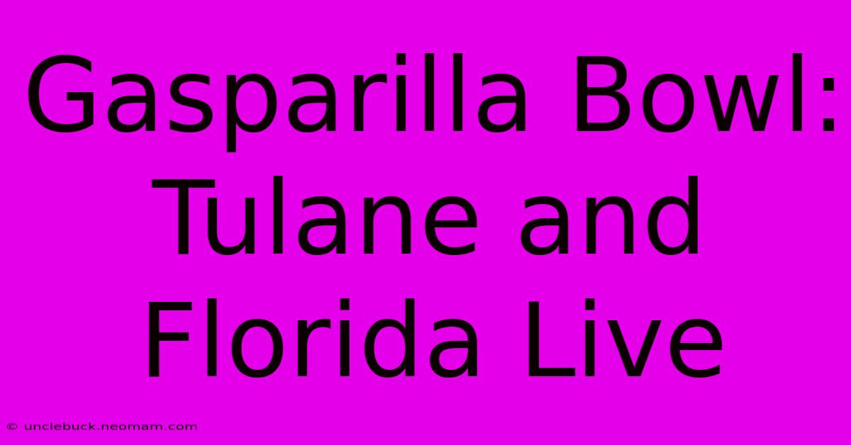 Gasparilla Bowl: Tulane And Florida Live