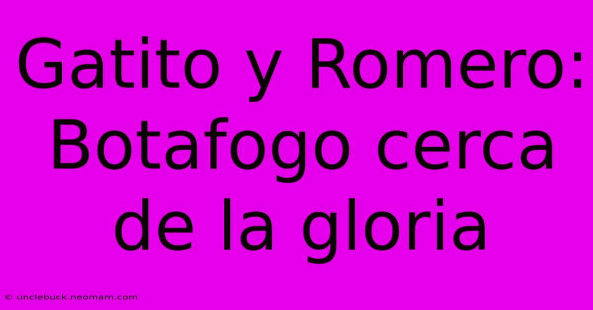 Gatito Y Romero: Botafogo Cerca De La Gloria