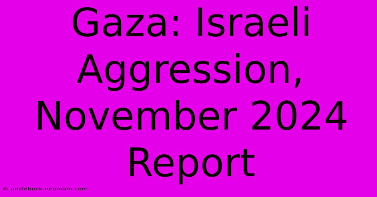 Gaza: Israeli Aggression, November 2024 Report