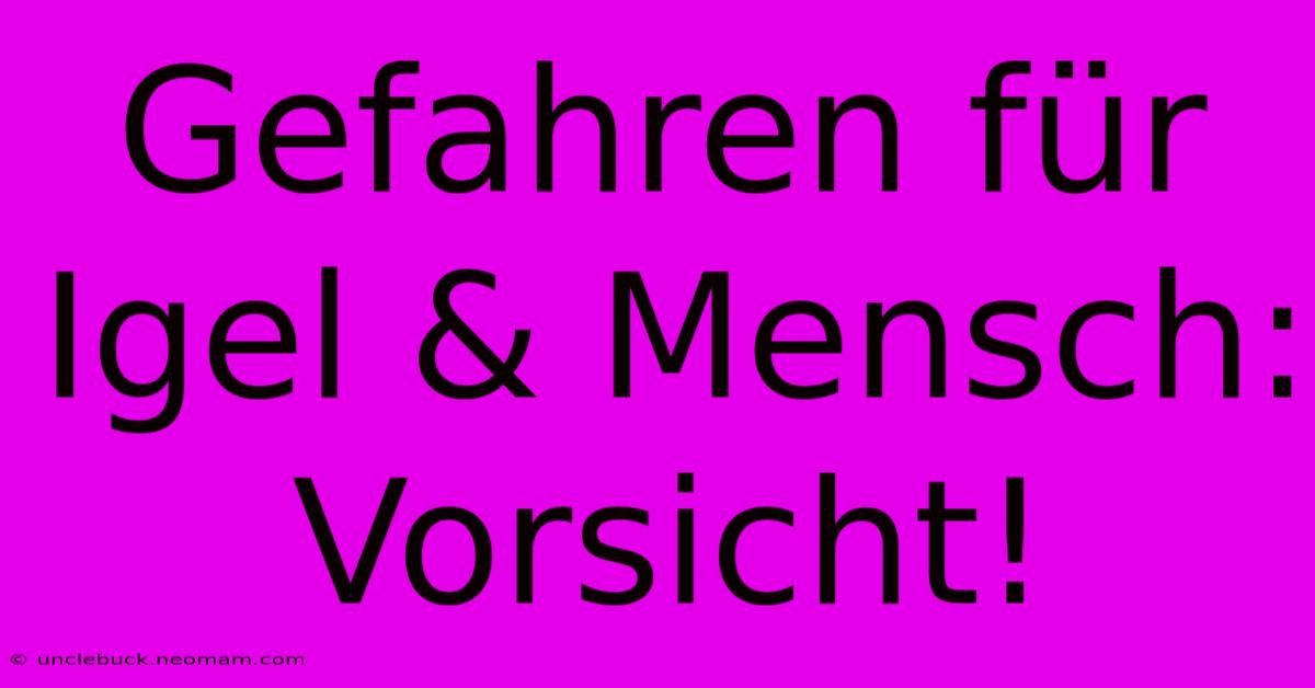 Gefahren Für Igel & Mensch: Vorsicht!