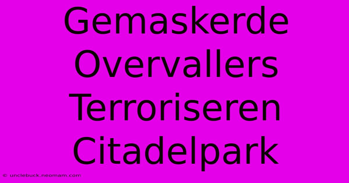 Gemaskerde Overvallers Terroriseren Citadelpark