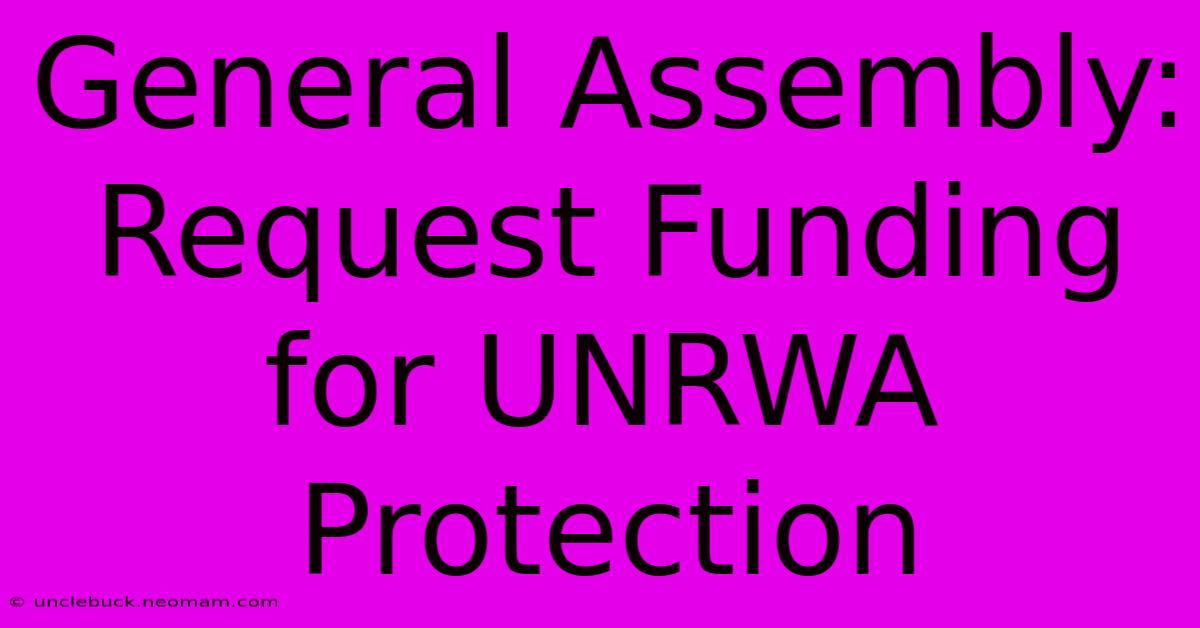 General Assembly: Request Funding For UNRWA Protection