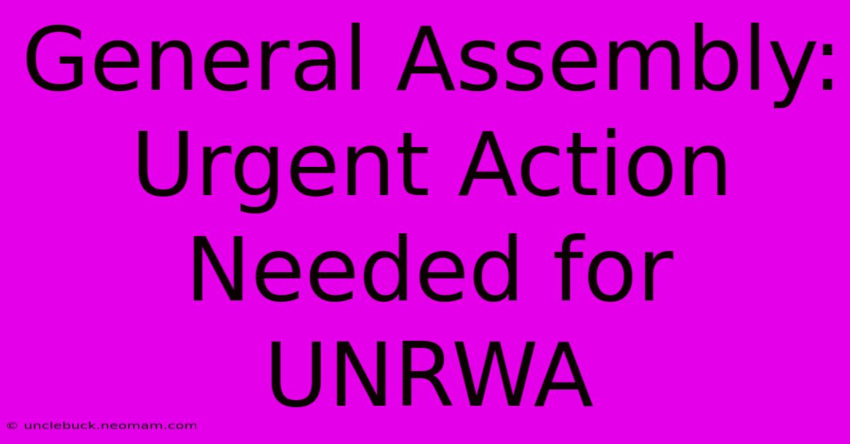 General Assembly:  Urgent Action Needed For UNRWA