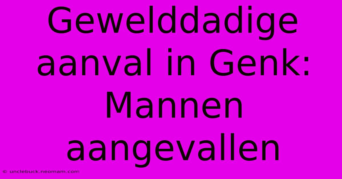 Gewelddadige Aanval In Genk: Mannen Aangevallen