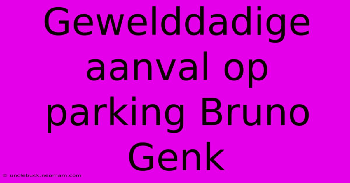 Gewelddadige Aanval Op Parking Bruno Genk 