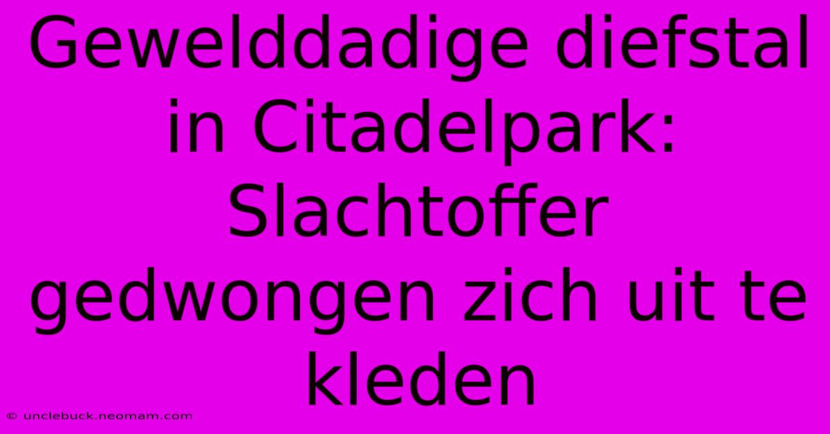 Gewelddadige Diefstal In Citadelpark: Slachtoffer Gedwongen Zich Uit Te Kleden