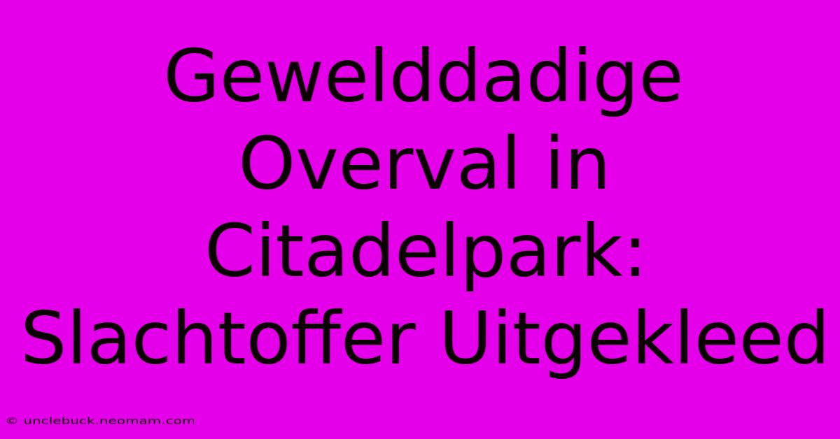 Gewelddadige Overval In Citadelpark: Slachtoffer Uitgekleed