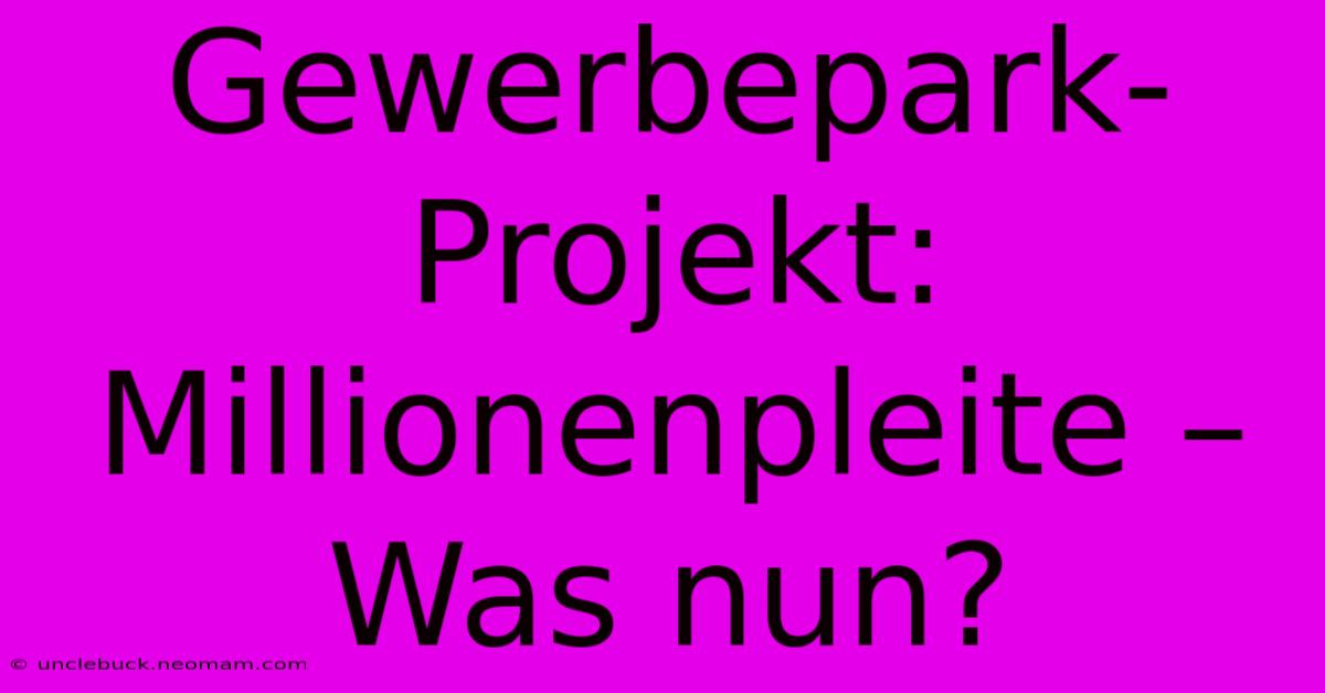 Gewerbepark-Projekt: Millionenpleite – Was Nun? 