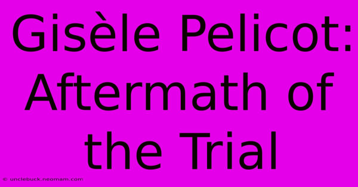 Gisèle Pelicot: Aftermath Of The Trial